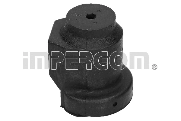 Mounting, control/trailing arm (32205)