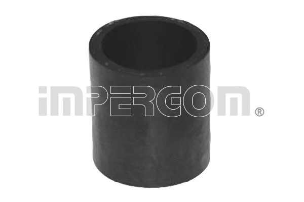 Charge Air Hose (225404)