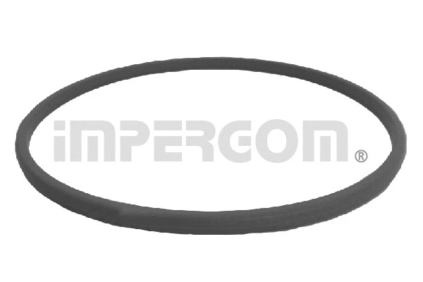 Gasket, fuel pump (25645)