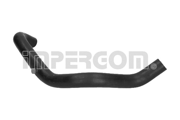 Radiator Hose (223244)