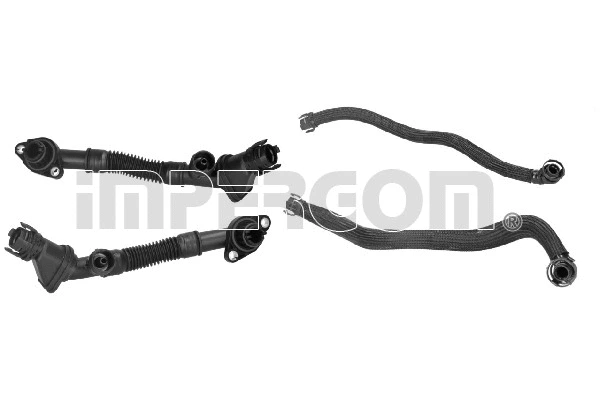 Repair Kit, crankcase ventilation (4869)