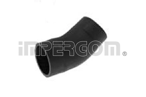 Charge Air Hose (19341)