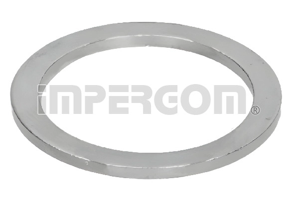 Seal Ring, oil drain plug (610346)