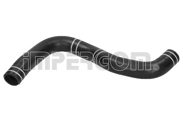 Radiator Hose (17245)