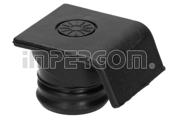 Sealing Cap, oil filler neck (29631)