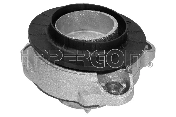 Repair Kit, suspension strut support mount (29172)