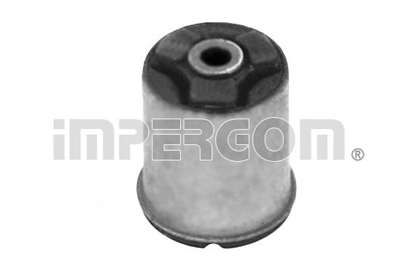 Bushing, axle beam (31377)