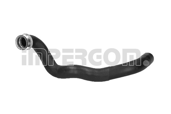 Radiator Hose (222589)