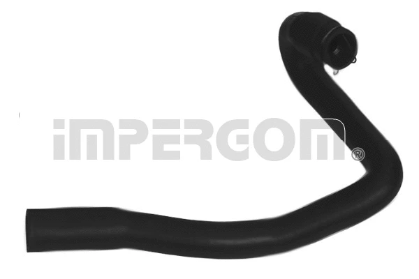 Radiator Hose (222987)