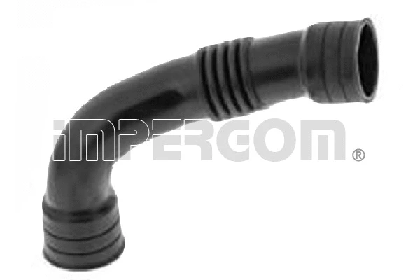 Hose, crankcase ventilation (223840)