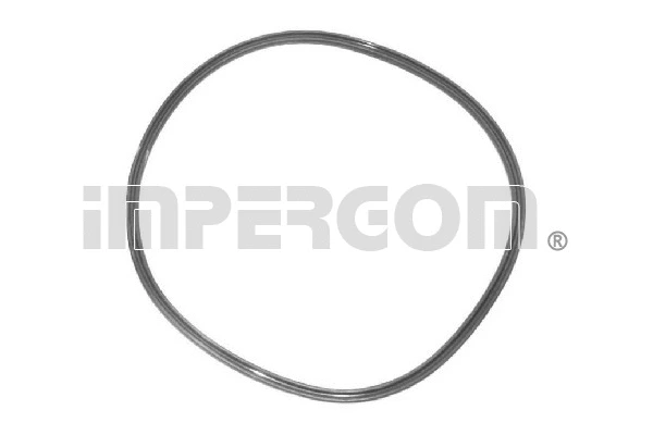 Gasket, fuel pump (25204)