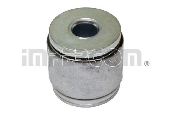 Mounting, control/trailing arm (1296)