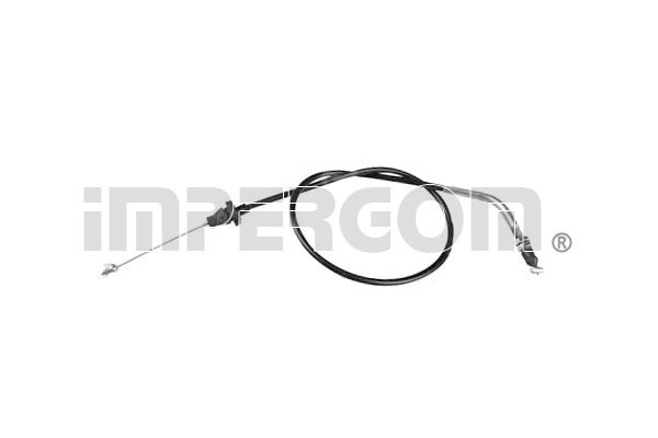 Accelerator Cable (810230)