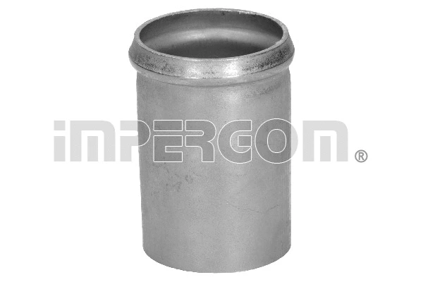 Coolant Pipe (80245)