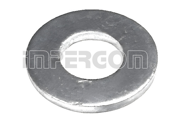Seal Ring, injector (610329)