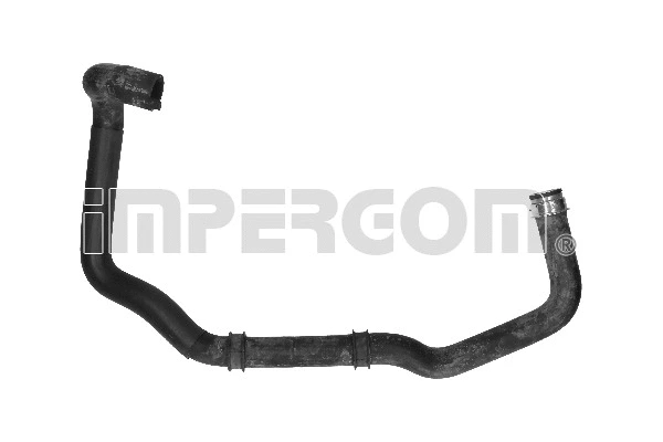 Radiator Hose (222975)