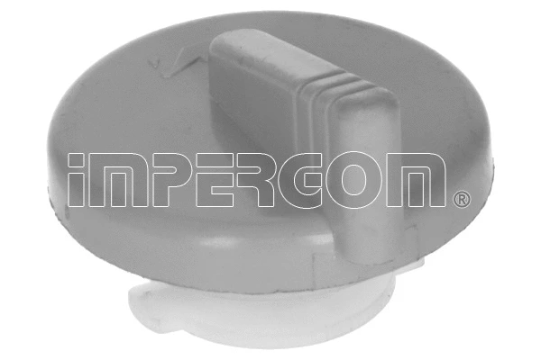 Sealing Cap, oil filler neck (43011)