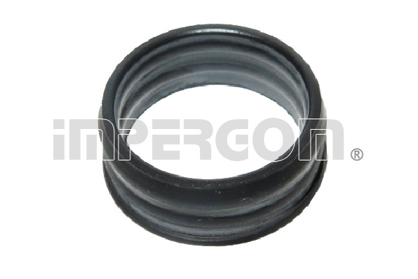 Gasket, water pump (230407)