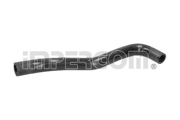 Radiator Hose (19161)