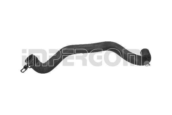 Radiator Hose (221317)