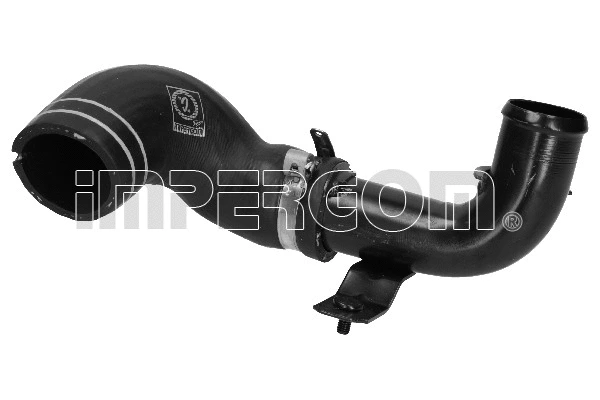 Charge Air Hose (17541)