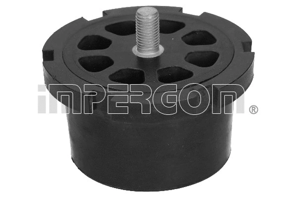 Bushing, axle beam (29992)