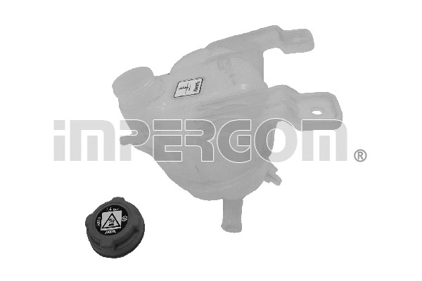 Expansion Tank, coolant (29890)