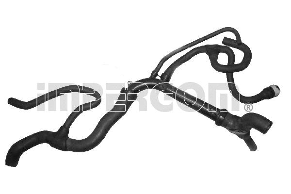 Radiator Hose (225236)