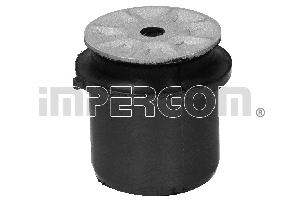 Bushing, axle beam (34269)
