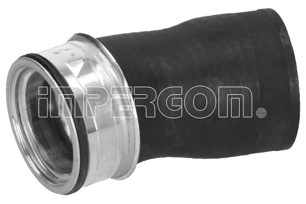 Charge Air Hose (221919)