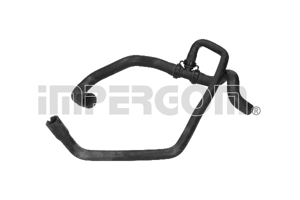 Radiator Hose (223907)