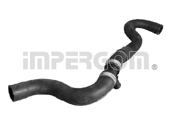 Radiator Hose (229021)