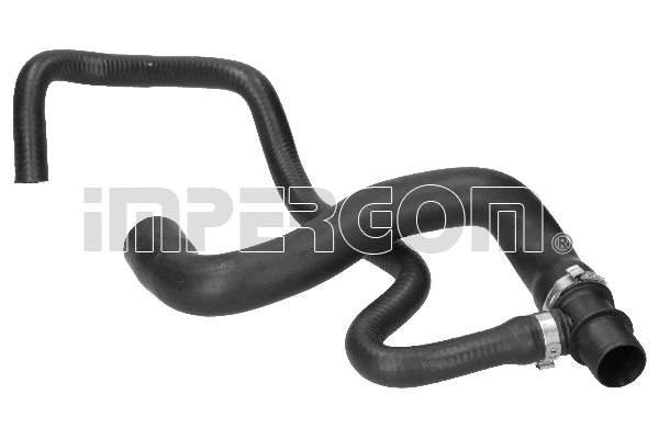 Radiator Hose (221299)