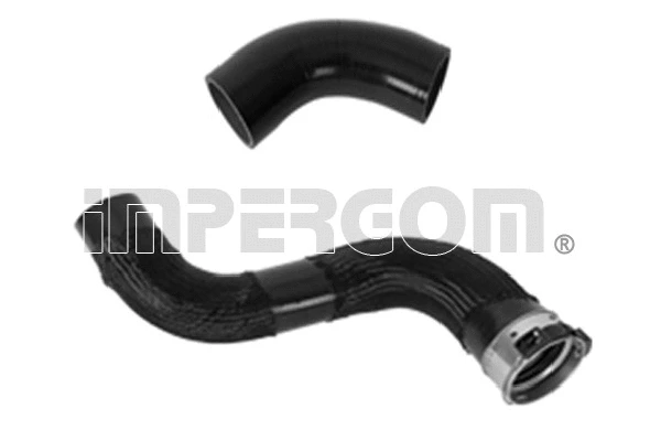 Charge Air Hose (224798)