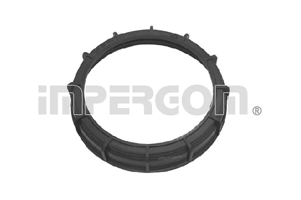 Gasket, fuel pump (25201)