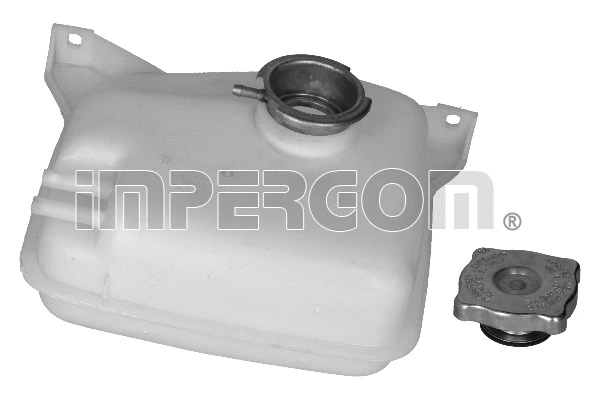 Expansion Tank, coolant (29556)