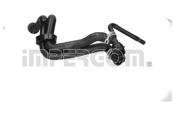 Radiator Hose (223562)