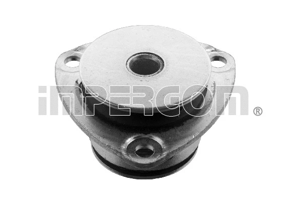 Mounting, leaf spring (27569)