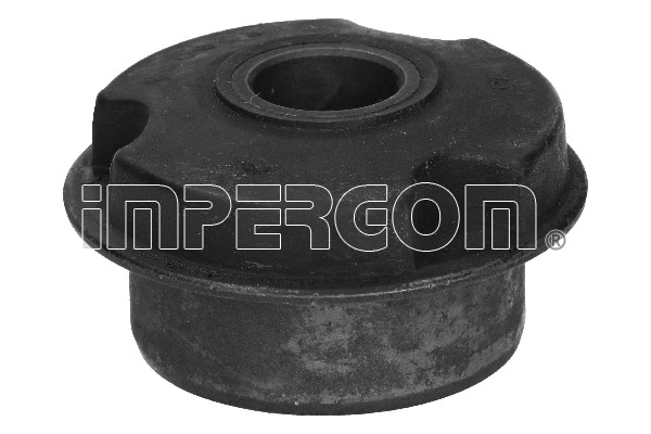 Mounting, control/trailing arm (31034)