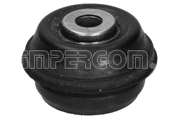 Mounting, control/trailing arm (31911)