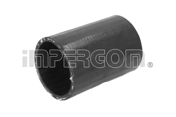 Charge Air Hose (224527)