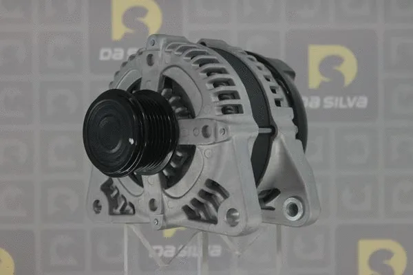 Alternator (031411)