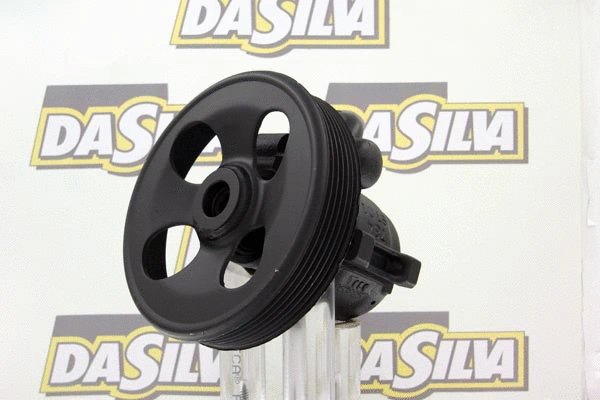 Hydraulic Pump, steering (DP3173)