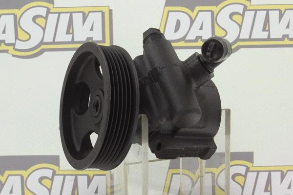 Hydraulic Pump, steering (DP3009)