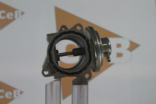 EGR Valve