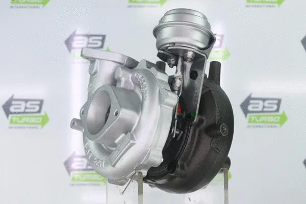 Charger, charging (supercharged/turbocharged) (AS1113)