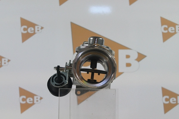 EGR Valve