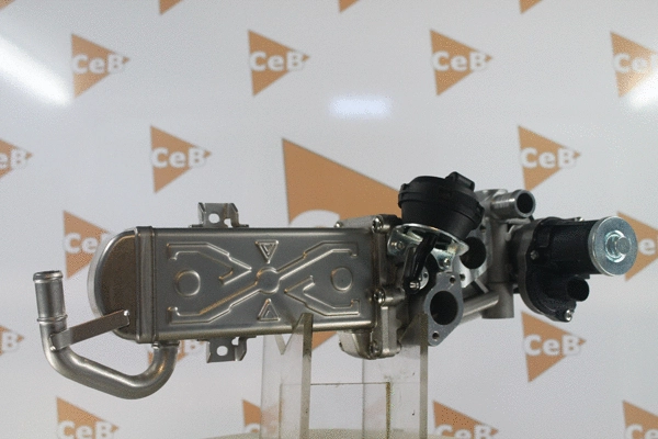 EGR Valve (GR6131)