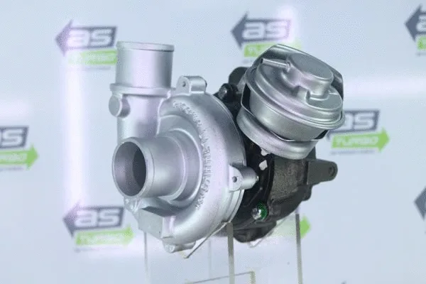 Charger, charging (supercharged/turbocharged) (AS1112)