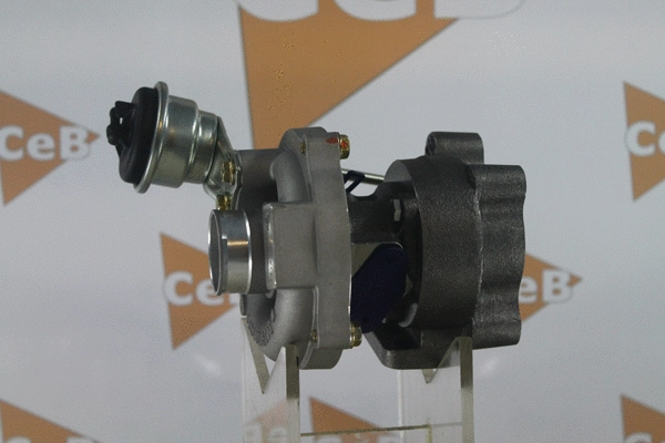 Charger, charging (supercharged/turbocharged)